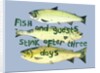Fish & guests ,2018 by Sarah Thompson-Engels