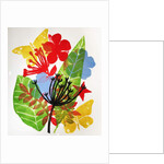 Seedheads and flowers, 2019 by Sarah Thompson-Engels