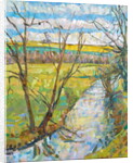 The Cherwell from Rousham II by Erin Townsend