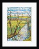 The Cherwell from Rousham II by Erin Townsend