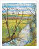 The Cherwell from Rousham II by Erin Townsend