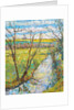 The Cherwell from Rousham II by Erin Townsend