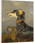 A Saluki Dog, 1840-44 by Edwin Landseer
