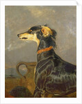 A Saluki Dog, 1840-44 by Edwin Landseer
