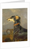 A Saluki Dog, 1840-44 by Edwin Landseer