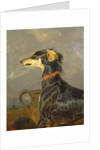 A Saluki Dog, 1840-44 by Edwin Landseer
