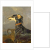 A Saluki Dog, 1840-44 by Edwin Landseer