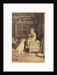 The Frugal Meal by William Henry Hunt