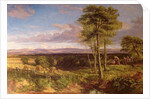 A Vale of Clwyd, 1846 by David Cox