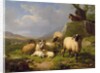 Sheep in a Landscape, 1863 by Eugene Joseph Verboeckhoven