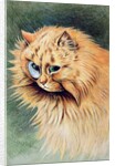The Monocle by Louis Wain