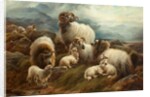 Sheep in a Landscape, 1894 by Robert Watson