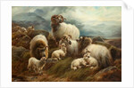 Sheep in a Landscape, 1894 by Robert Watson