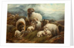Sheep in a Landscape, 1894 by Robert Watson