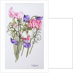 Ten Sweet Peas with Tendrils, 2012 by Joan Thewsey