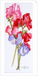 Three Sweet Peas, 2011 by Joan Thewsey