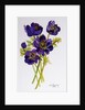 Anemones, 2011 by Joan Thewsey