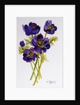 Anemones, 2011 by Joan Thewsey
