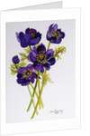 Anemones, 2011 by Joan Thewsey
