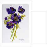 Anemones, 2011 by Joan Thewsey