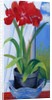 Amaryllis in a Blue Bowl, 2011 by Joan Thewsey