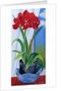 Amaryllis in a Blue Bowl, 2011 by Joan Thewsey