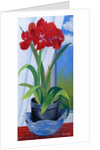 Amaryllis in a Blue Bowl, 2011 by Joan Thewsey