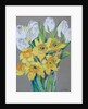 Daffodils and White Tulips, 2000 by Joan Thewsey