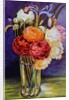 Ranunculus in a Glass, 2000 by Joan Thewsey