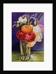 Ranunculus in a Glass, 2000 by Joan Thewsey
