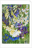 Spring Border, 2012 by Joan Thewsey