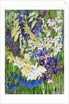 Spring Border, 2012 by Joan Thewsey