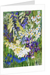 Spring Border, 2012 by Joan Thewsey