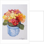 The Multicoloured Primrose, 2011 by Joan Thewsey