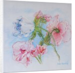 Morning Roses, 2002 by Joan Thewsey