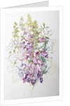 Foxgloves and White Campanulas, 2012 by Joan Thewsey