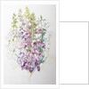 Foxgloves and White Campanulas, 2012 by Joan Thewsey
