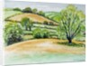 Suffolk Landscape, view from Dalham Church, 2011 by Joan Thewsey