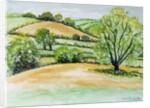 Suffolk Landscape, view from Dalham Church, 2011 by Joan Thewsey