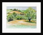 Suffolk Landscape, view from Dalham Church, 2011 by Joan Thewsey