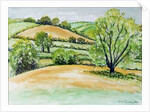 Suffolk Landscape, view from Dalham Church, 2011 by Joan Thewsey