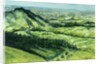 View from Sue au Mai, Limousin France, 2010 by Joan Thewsey