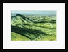 View from Sue au Mai, Limousin France, 2010 by Joan Thewsey