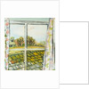 Through the Cottage Window Suffolk, 2010 by Joan Thewsey