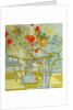 Patio Garden, Geraniums Reflected, 2010 by Joan Thewsey