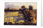 Field with Long Shadows by Joan Thewsey