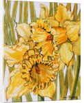 Two Daffodils, 2001 by Joan Thewsey
