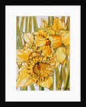 Two Daffodils, 2001 by Joan Thewsey
