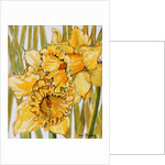 Two Daffodils, 2001 by Joan Thewsey