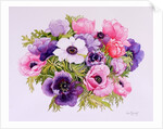Anemones, 2001 by Joan Thewsey